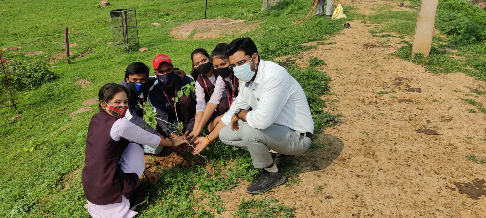 Tree Plantation